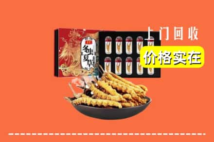 德州市齐河回收冬虫夏草